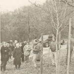 Heermann 1