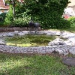 storchbr